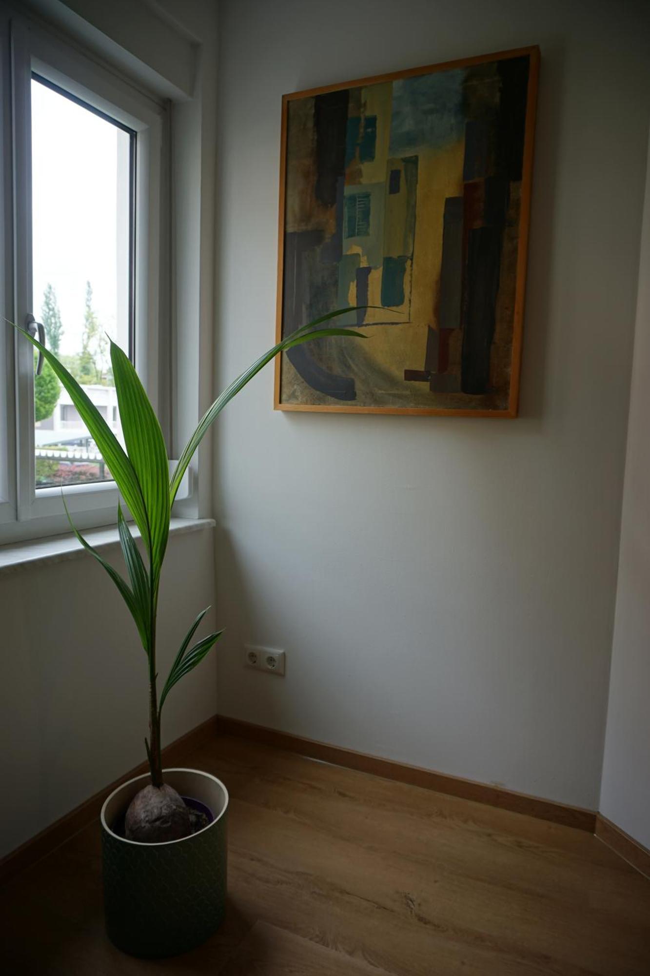 Apartment Geidorf Residenz Graz