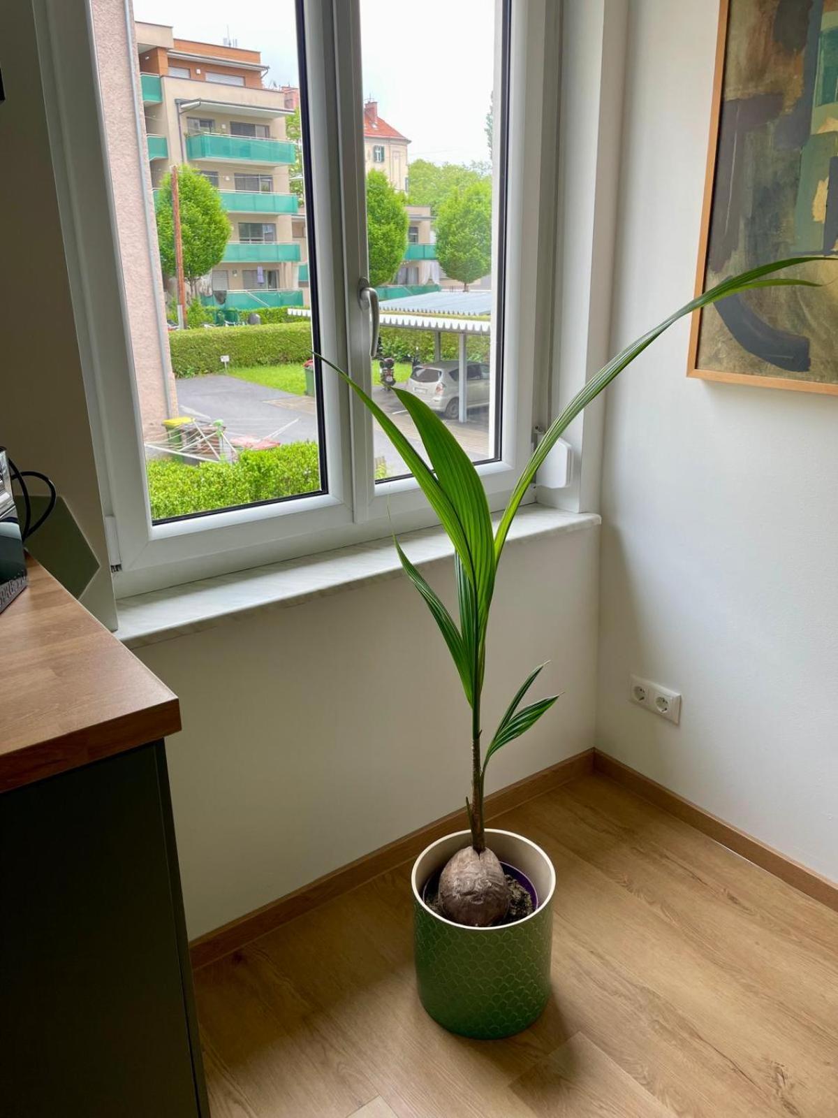 Apartment Geidorf Residenz Graz